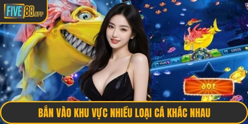 Bắn vào khu vực nhiều loại cá khác nhau
